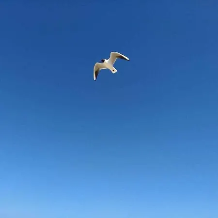 House Poseidon Comfort Ferienhaus Cuxhaven